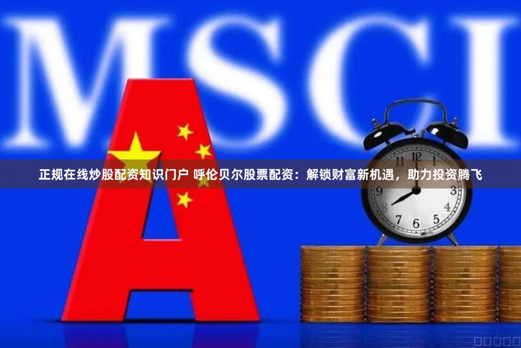 正规在线炒股配资知识门户 呼伦贝尔股票配资：解锁财富新机遇，助力投资腾飞