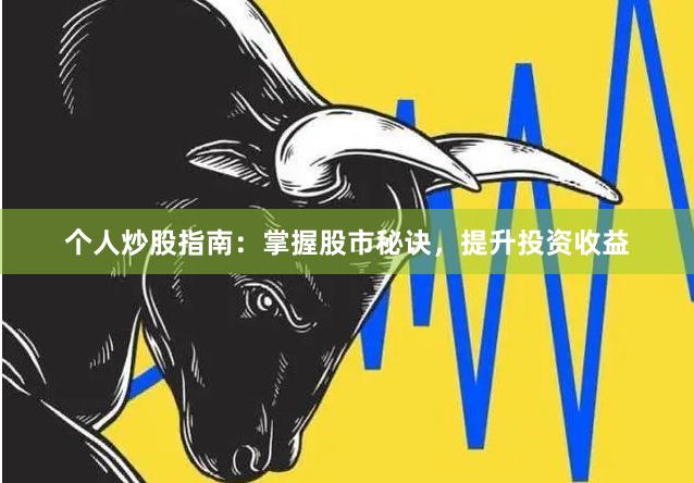 个人炒股指南：掌握股市秘诀，提升投资收益